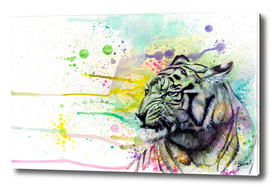 Color Splash Tiger