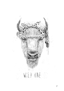 Wild one