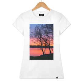 Sunset on a lake landscape with trees