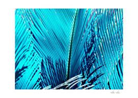 sky Blue Palm
