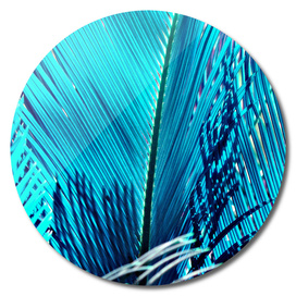 sky Blue Palm
