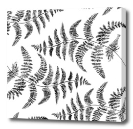 Fern pattern black and white