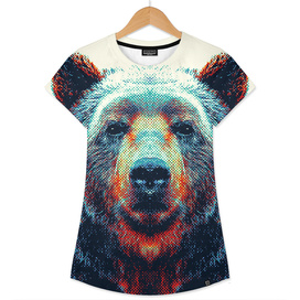 Bear - Colorful Animals