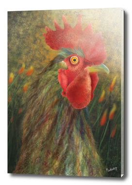 Mashugana_The Crazy Golden Rooster - a Creativity BOOSTER