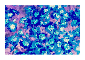 blooming blue flower abstract with pink background