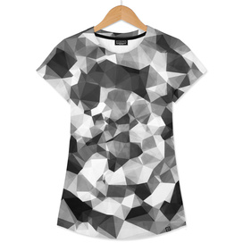 contemporary geometric polygon abstract in black and white