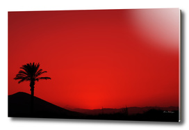 Red Andalusian sunset with silhouette palm tree and mountain