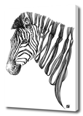 Zebra v.01
