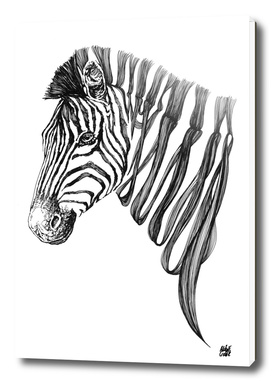 Zebra v.01