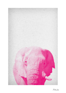 Elephant 02
