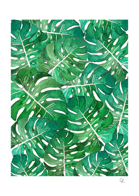 Monstera leaves watercolor n.1