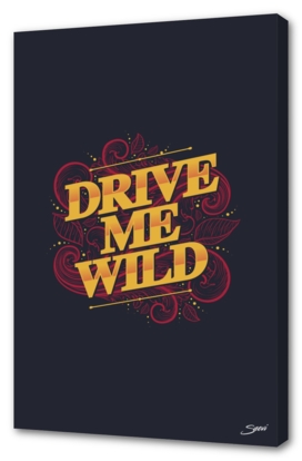 DRIVE ME WILD