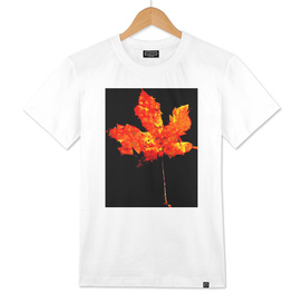 orange and yellow geometric polygon maple leaf abstract