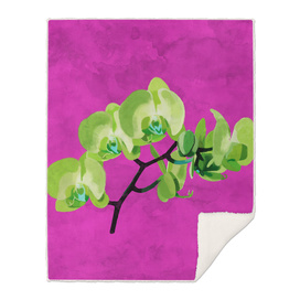 Orchid, green