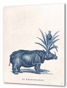 Le Rhinonanas