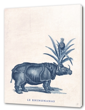 Le Rhinonanas