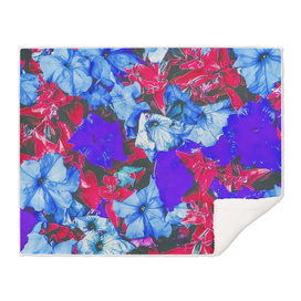 closeup flower texture abstract in blue purple red