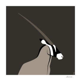 Órice / Oryx