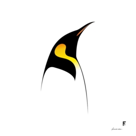 Pingüino emperador / Emperor penguin