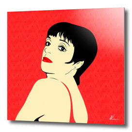 Liza Minnelli | Pop Art