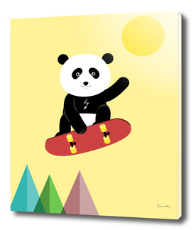panda and skateboard