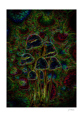 Magic psychedelic mushrooms