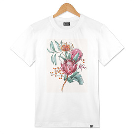 King protea flowers watercolor illustration