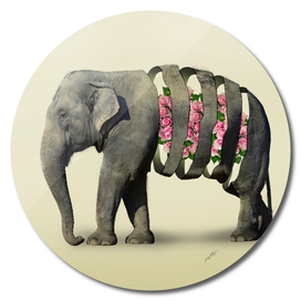 Inner Rose Elephant