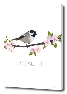 Coal Tit Art Print