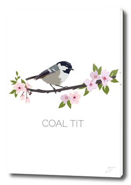 Coal Tit Art Print