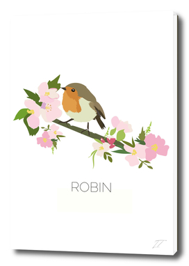 Robin Illustration Art Print