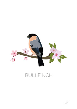Bullfinch Art Print
