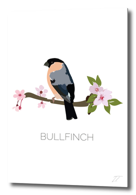 Bullfinch Art Print