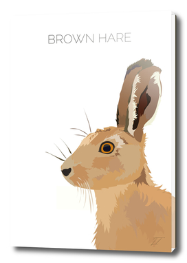 Brown Hare Illustration Art Print