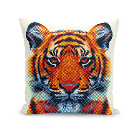 Tiger - Colorful Animals