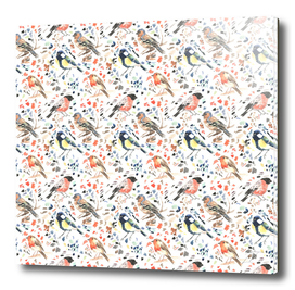Watercolour British Bird Pattern