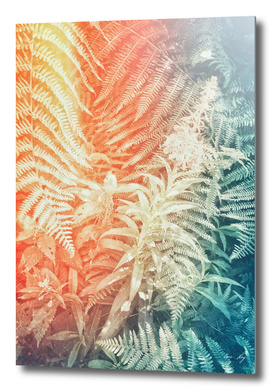 Fern and Fireweed 02 - Retro