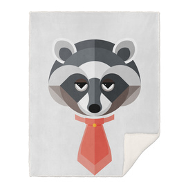 Raccoon Illustration