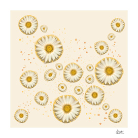 "Marguerite Polka Dots (Pattern)"