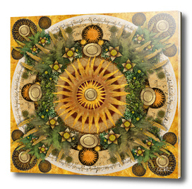 "Floral Aztec calendar"