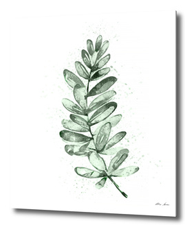 Eucalyptus Print