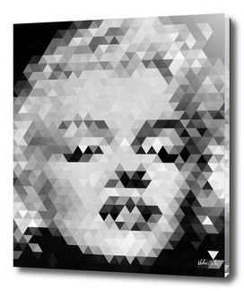 Marilyn Monroe Geometric