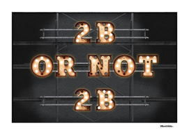 2B or not 2B - Bulb