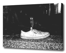 0__0000_street-photography-shoes-streetphoto_bw-cat-b