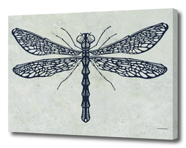 Dragonfly digital illustration