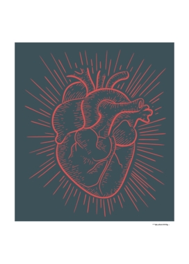 Heart on red illustration