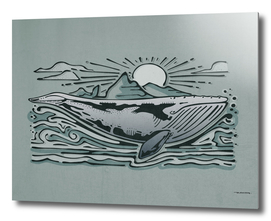 Gray whale digital illustration
