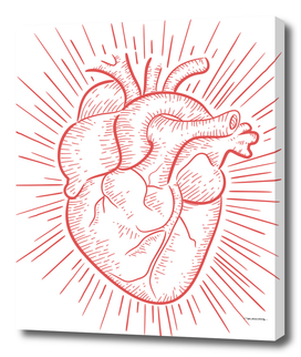 Human red heart digital illustration
