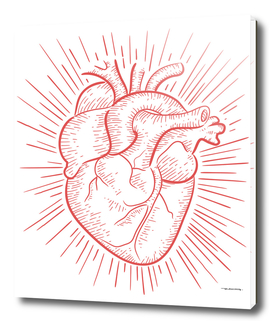 Human red heart digital illustration