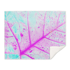 Abstract Alocasia Leaf